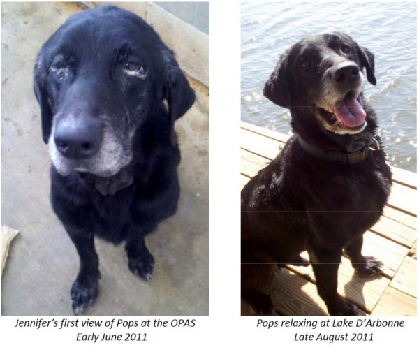 Donate to The Pops Fund