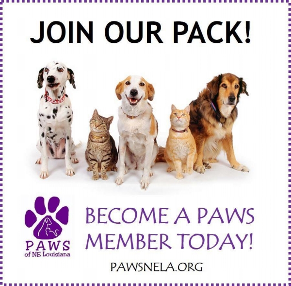 PAWS Memberships