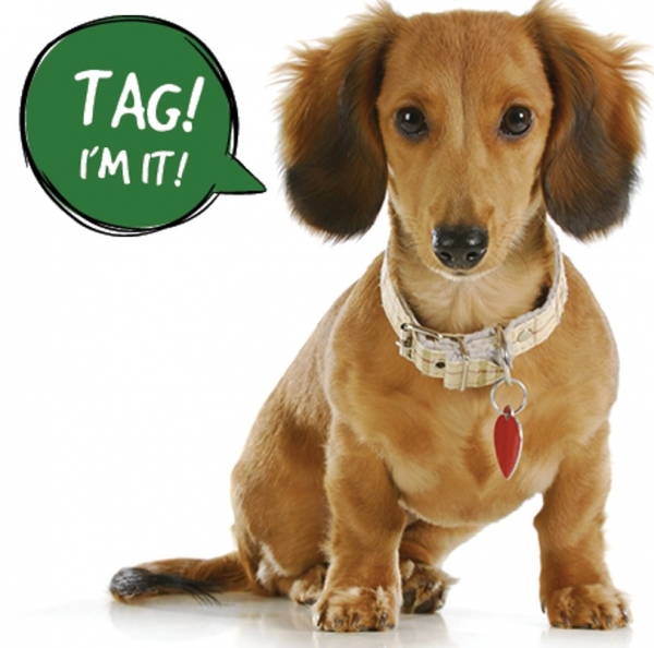 Tag Your Pet